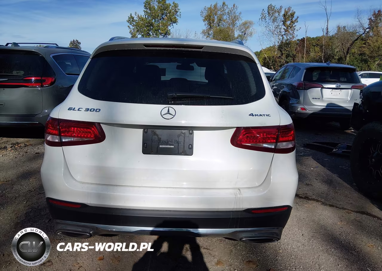 2017 Mercedes-Benz Glc 300 4Matic VIN:WDC0G4KB1HF119390 - 16