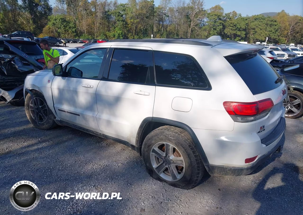 2018 Jeep Grand Cherokee Trailhawk 4X4 VIN:1C4RJFLG4JC184763 - 3
