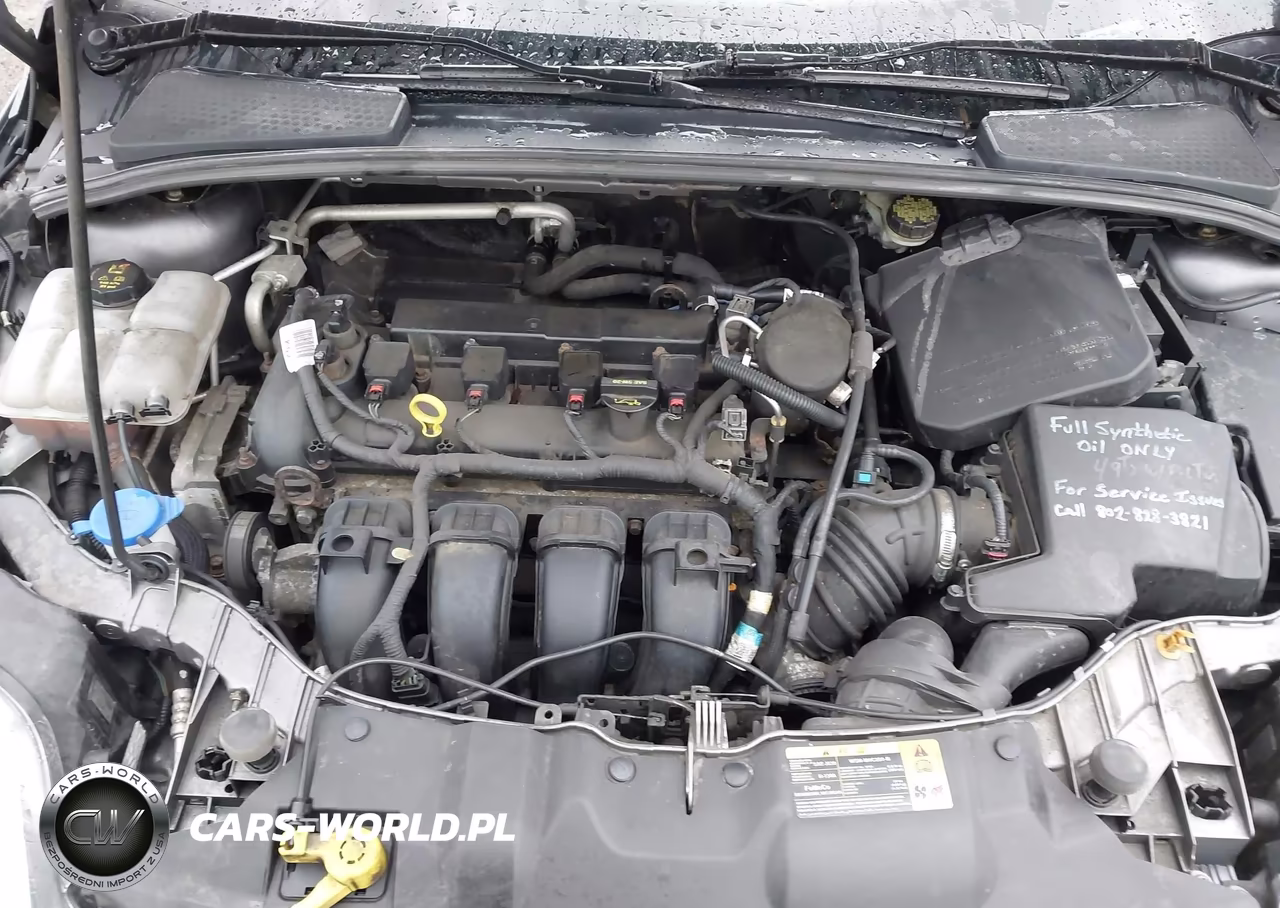 2014 Ford Focus Se VIN:1FADP3F24EL265930 - 10