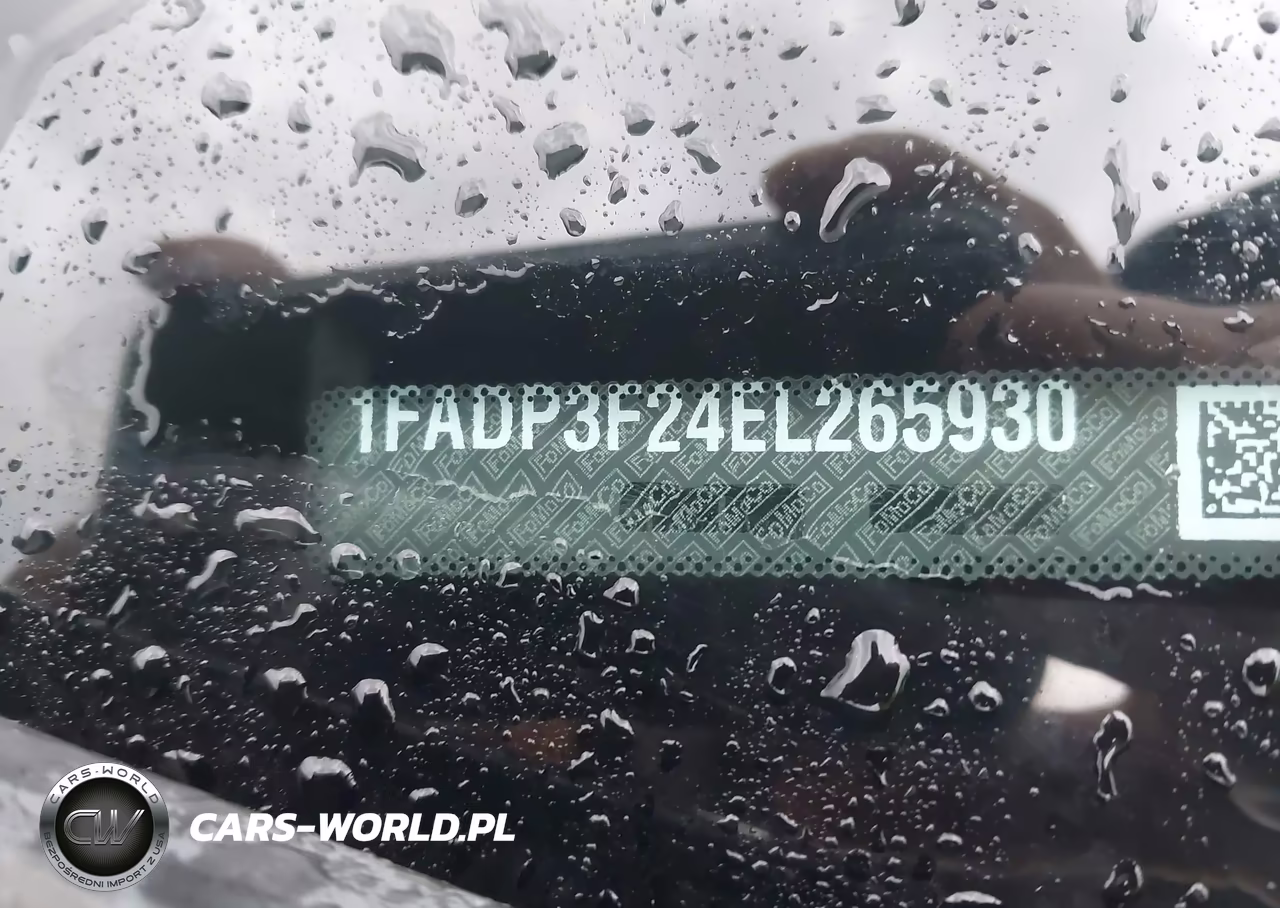 2014 Ford Focus Se VIN:1FADP3F24EL265930 - 9