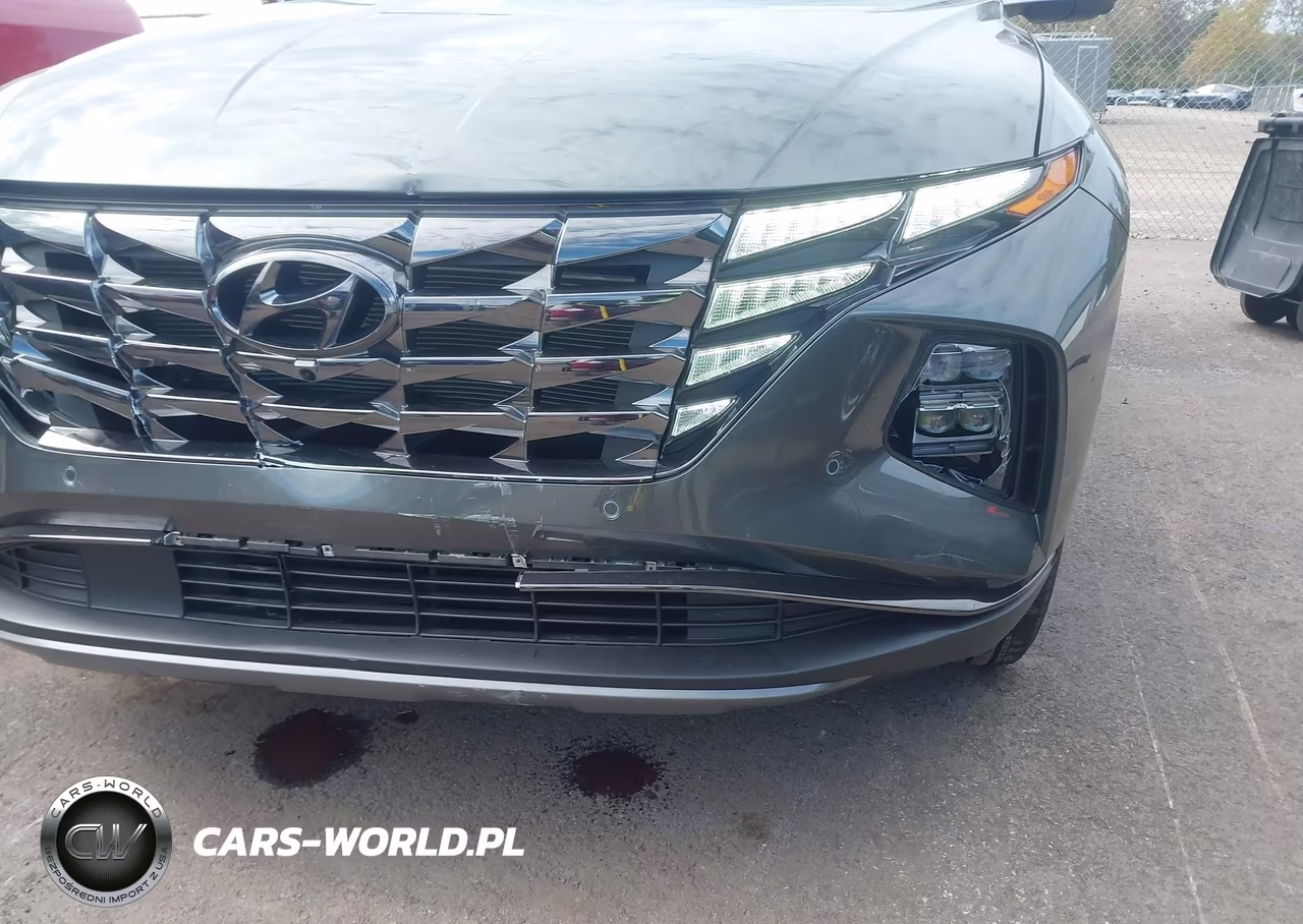 2023 Hyundai Tucson Limited VIN:5NMJECAE4PH258355 - 17