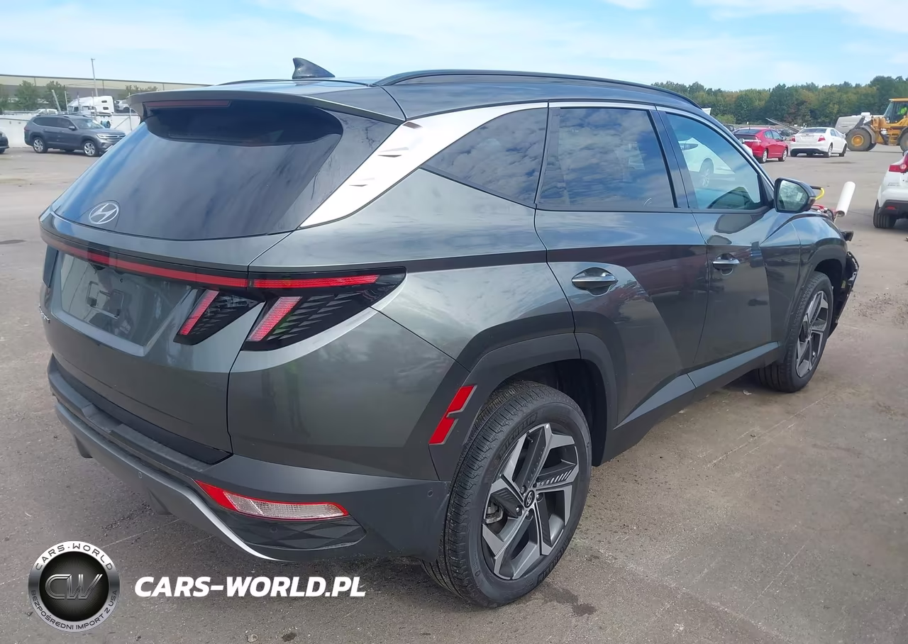 2023 Hyundai Tucson Limited VIN:5NMJECAE4PH258355 - 4