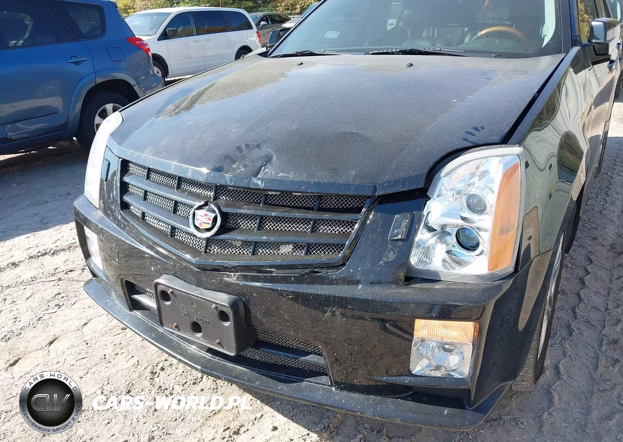 2007 Cadillac Srx V6 VIN:1GYEE637570188439 - 6