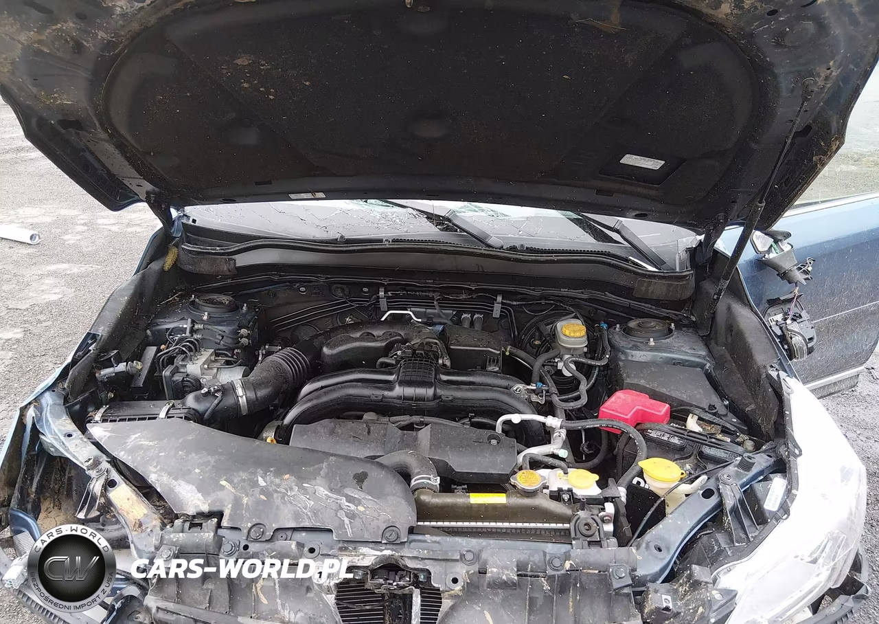 2016 Subaru Forester 2.5I Touring VIN:JF2SJAXC3GH513803 - 10