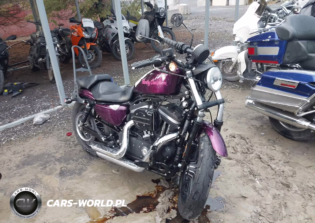 2014 Harley-Davidson Xl883 Iron 883 – zdjęcie 1 z 13
