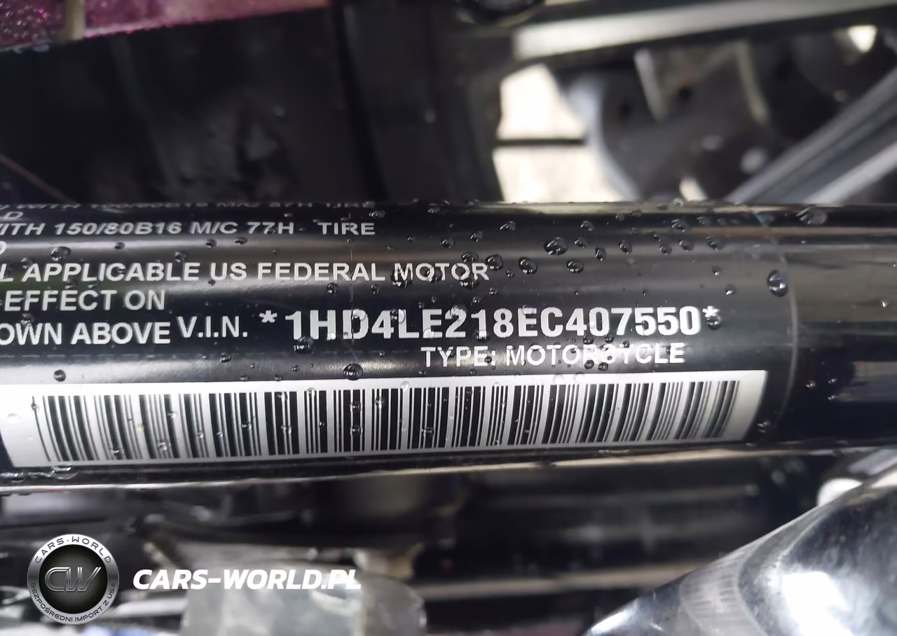 2014 Harley-Davidson Xl883 Iron 883 VIN:1HD4LE218EC407550 - 10