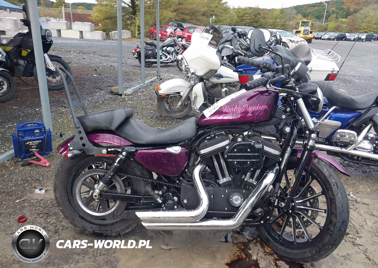 2014 Harley-Davidson Xl883 Iron 883 VIN:1HD4LE218EC407550 - 12