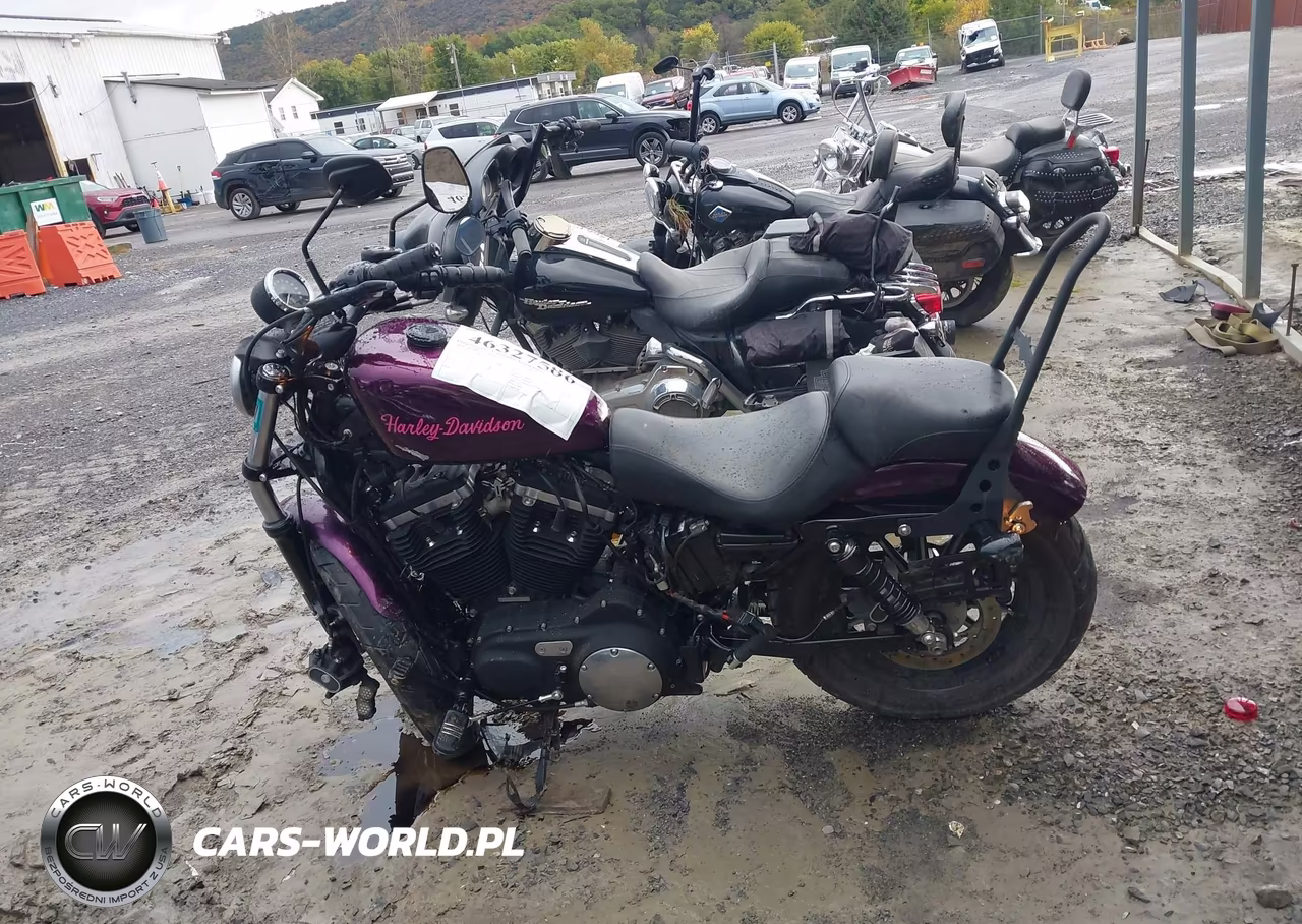 2014 Harley-Davidson Xl883 Iron 883 VIN:1HD4LE218EC407550 - 13
