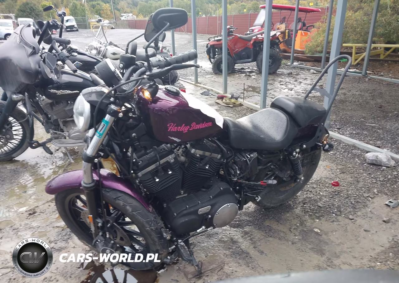 2014 Harley-Davidson Xl883 Iron 883 VIN:1HD4LE218EC407550 - 2
