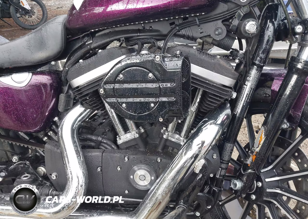 2014 Harley-Davidson Xl883 Iron 883 VIN:1HD4LE218EC407550 - 8