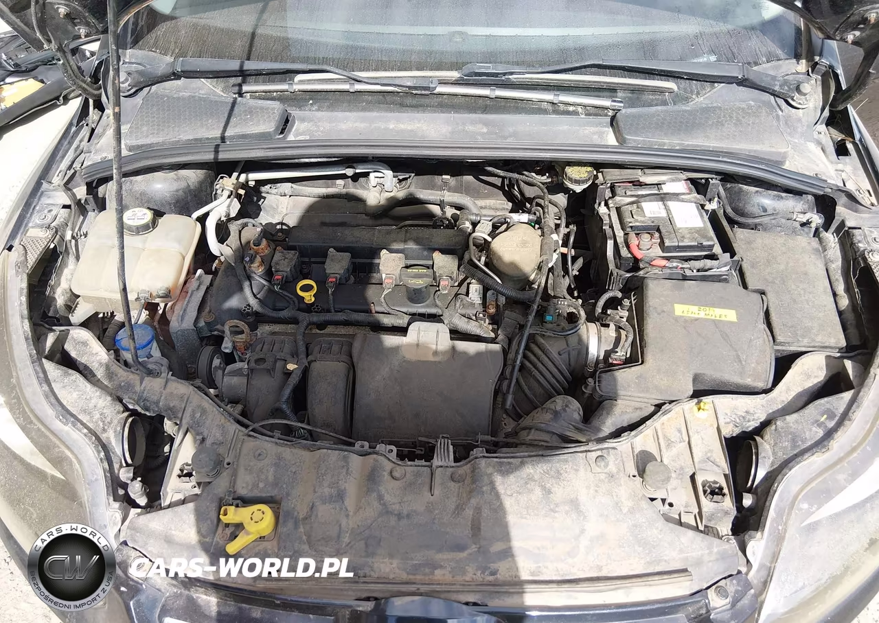 2013 Ford Focus Titanium VIN:1FADP3J28DL218146 - 10