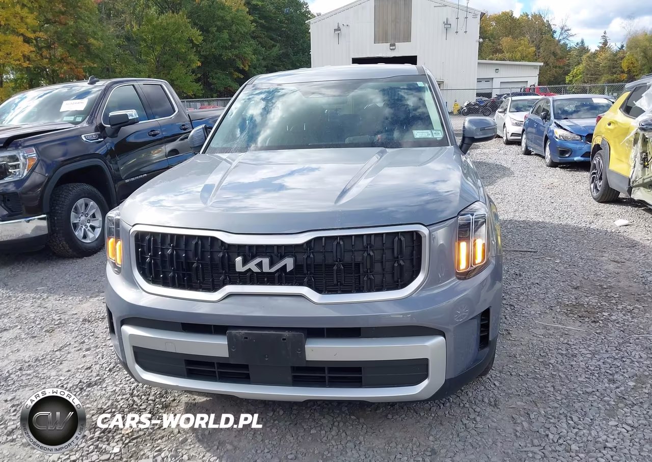 2024 Kia Telluride Lx VIN:5XYP2DGC1RG539346 - 12