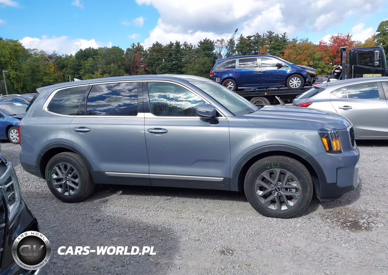 2024 Kia Telluride Lx VIN:5XYP2DGC1RG539346 - 13