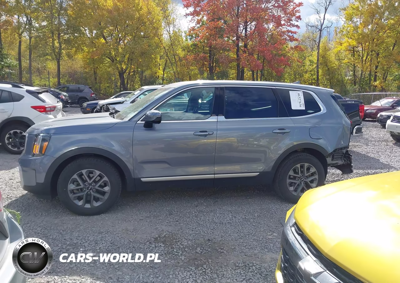 2024 Kia Telluride Lx VIN:5XYP2DGC1RG539346 - 14