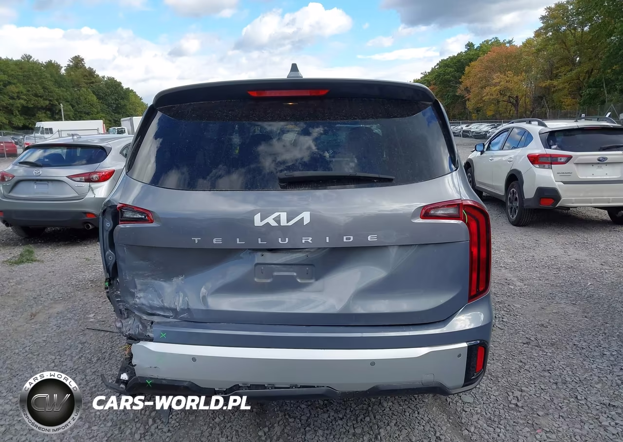 2024 Kia Telluride Lx VIN:5XYP2DGC1RG539346 - 16