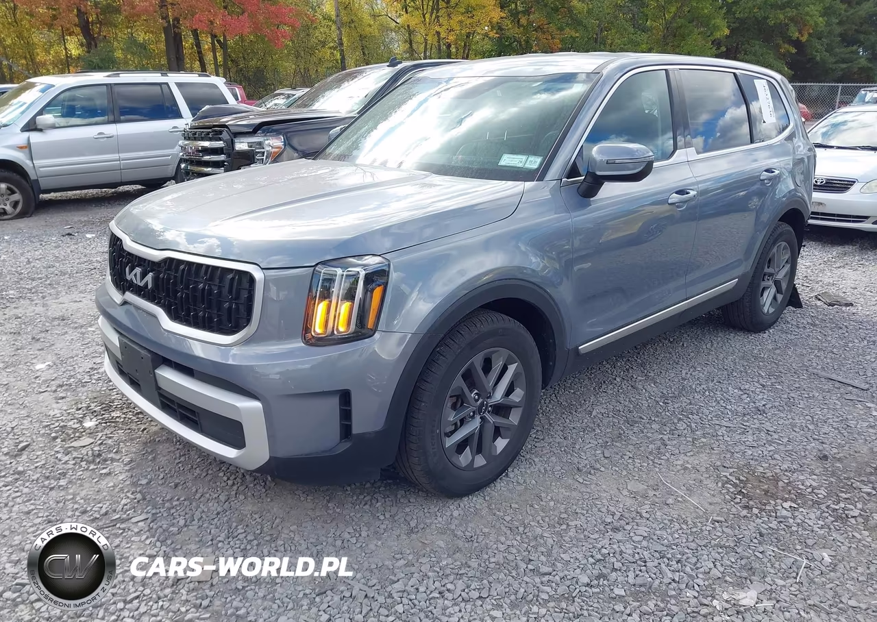 2024 Kia Telluride Lx VIN:5XYP2DGC1RG539346 - 2
