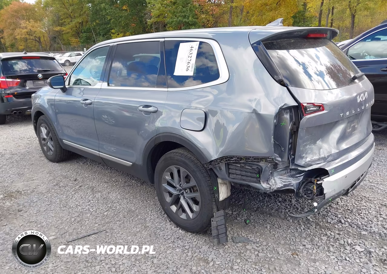 2024 Kia Telluride Lx VIN:5XYP2DGC1RG539346 - 3