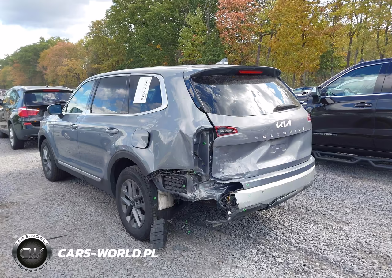 2024 Kia Telluride Lx VIN:5XYP2DGC1RG539346 - 6