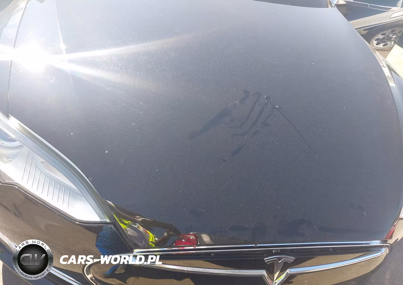 2013 Tesla Model S Performance VIN:5YJSA1DPXDFP04636 - 10