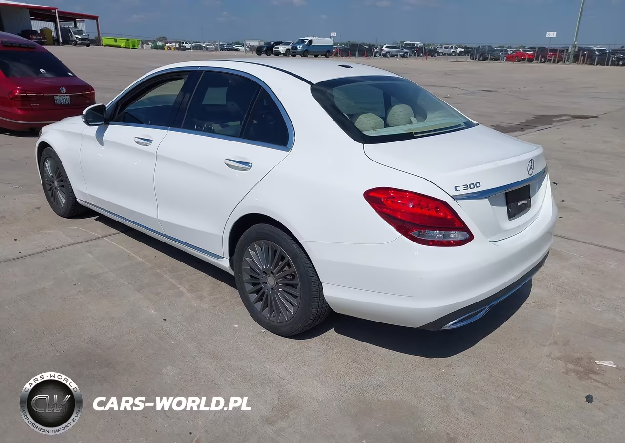 2016 Mercedes-Benz C 300 Luxury VIN:55SWF4JB9GU101550 - 3