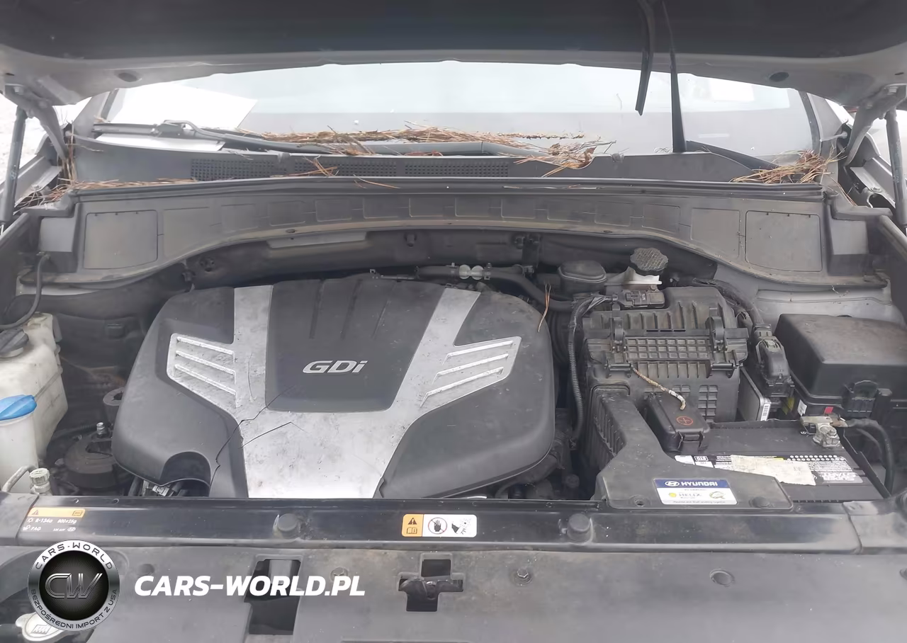 2017 Hyundai Santa Fe Se VIN:KM8SMDHF5HU167385 - 10