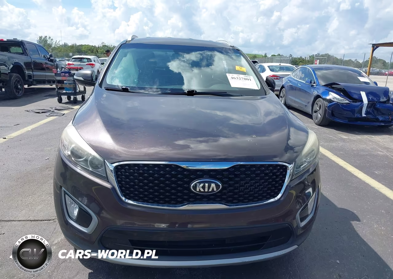 2016 Kia Sorento 2.0T Ex VIN:5XYPH4A13GG018034 - 12