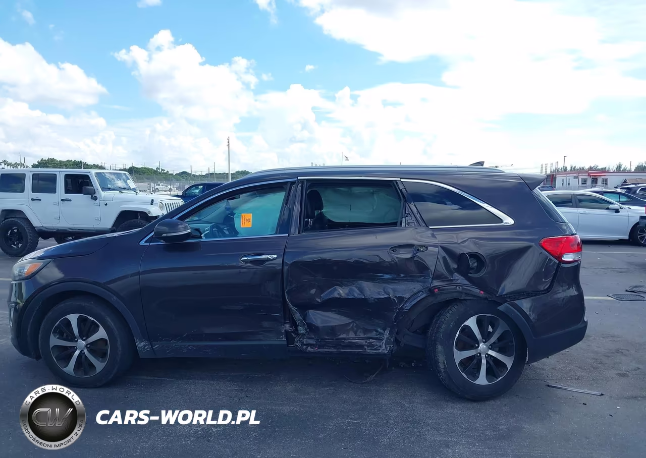 2016 Kia Sorento 2.0T Ex VIN:5XYPH4A13GG018034 - 14