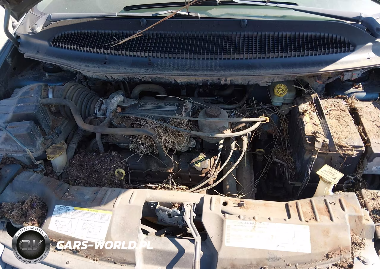 2005 Dodge Grand Caravan Sxt VIN:2D4GP44L65R477084 - 10