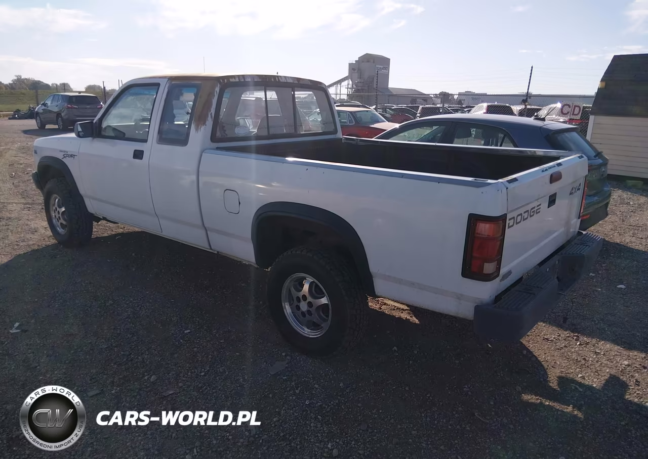 1996 Dodge Dakota VIN:1B7GG23Y8TS685459 - 3