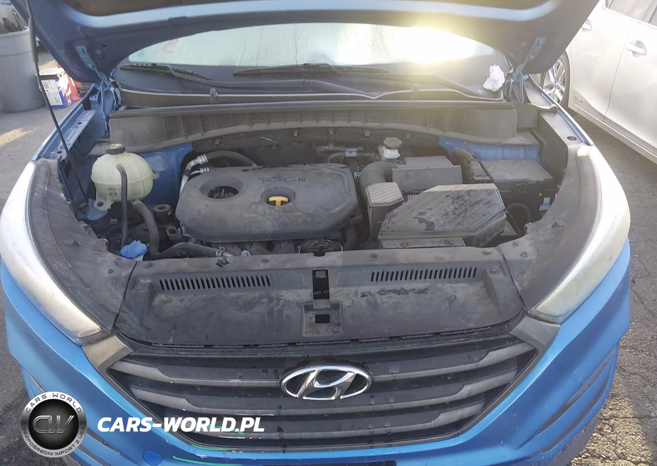 2017 Hyundai Tucson Se VIN:KM8J3CA45HU294915 - 10