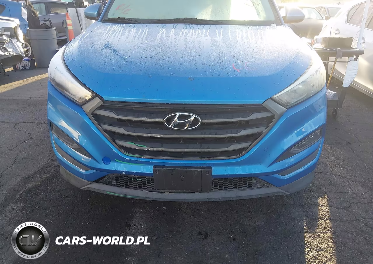 2017 Hyundai Tucson Se VIN:KM8J3CA45HU294915 - 6