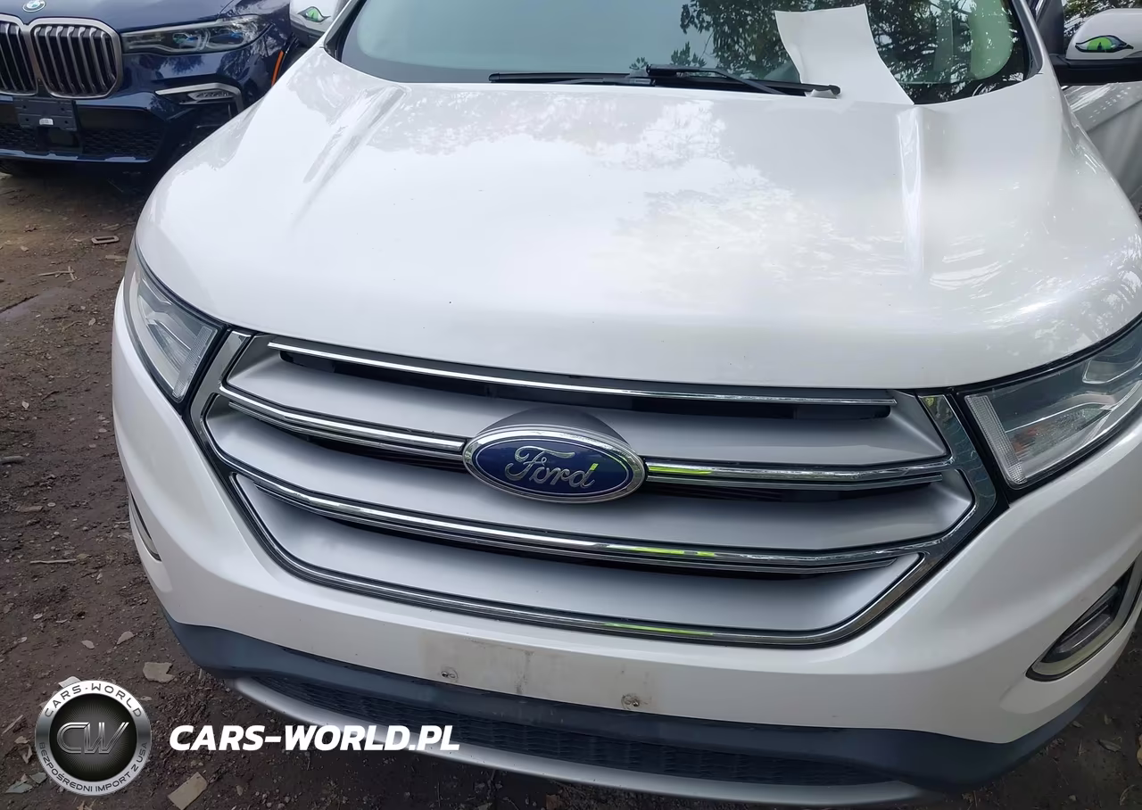 2016 Ford Edge Sel VIN:2FMPK4J83GBB28080 - 10