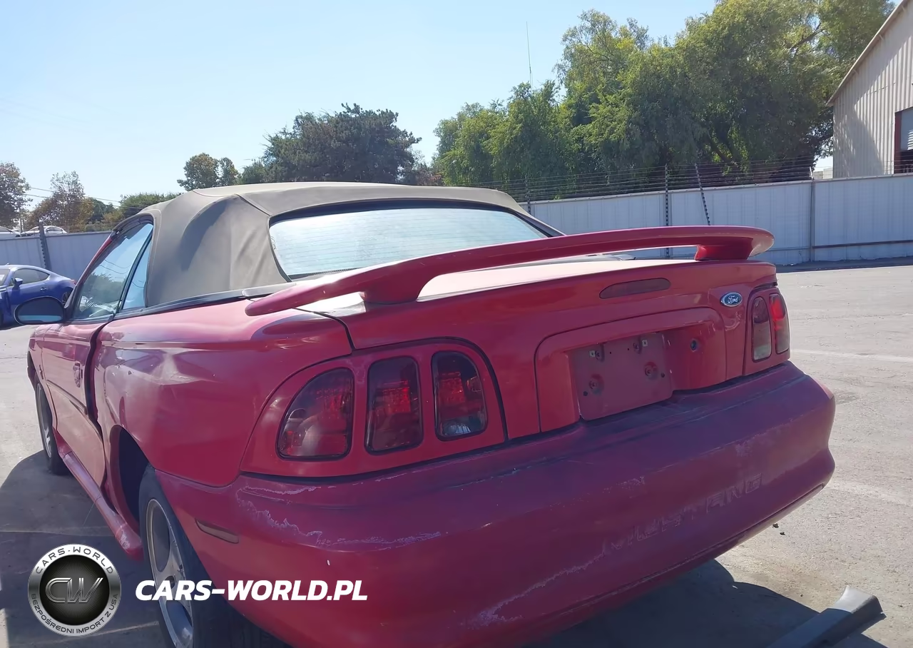 1998 Ford Mustang VIN:1FAFP4448WF239897 - 3