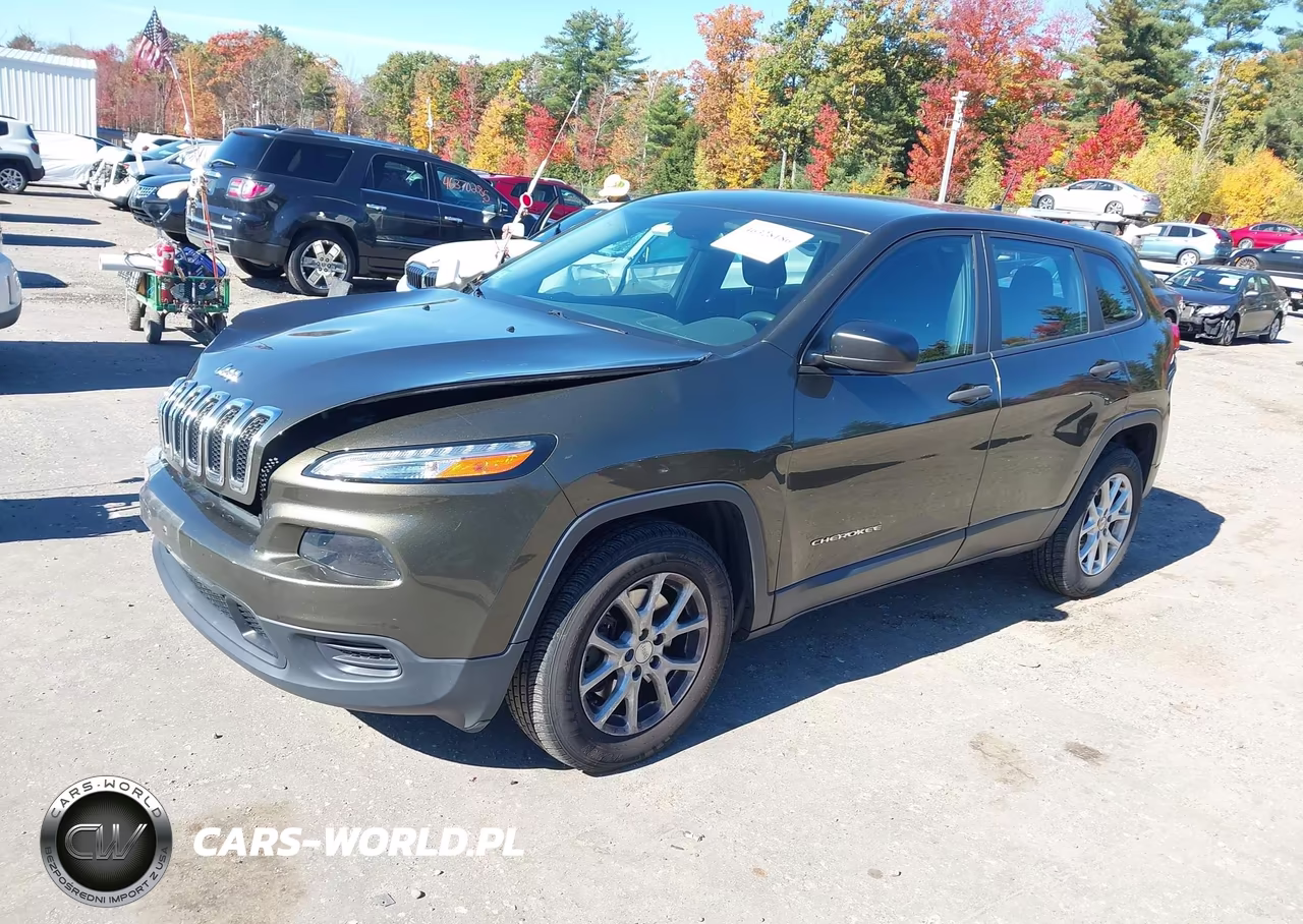 2014 Jeep Cherokee Sport VIN:1C4PJMAB8EW317743 - 2