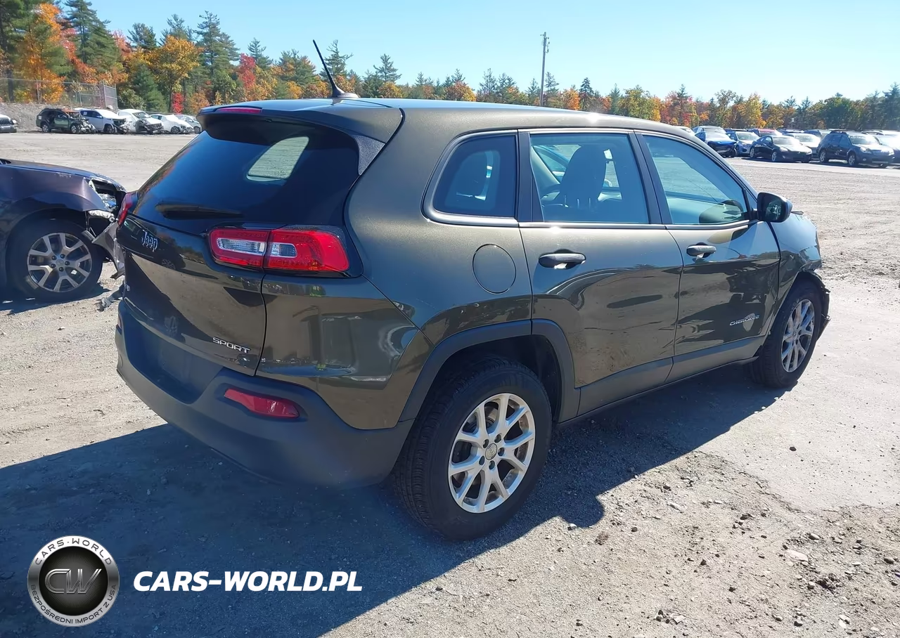 2014 Jeep Cherokee Sport VIN:1C4PJMAB8EW317743 - 4