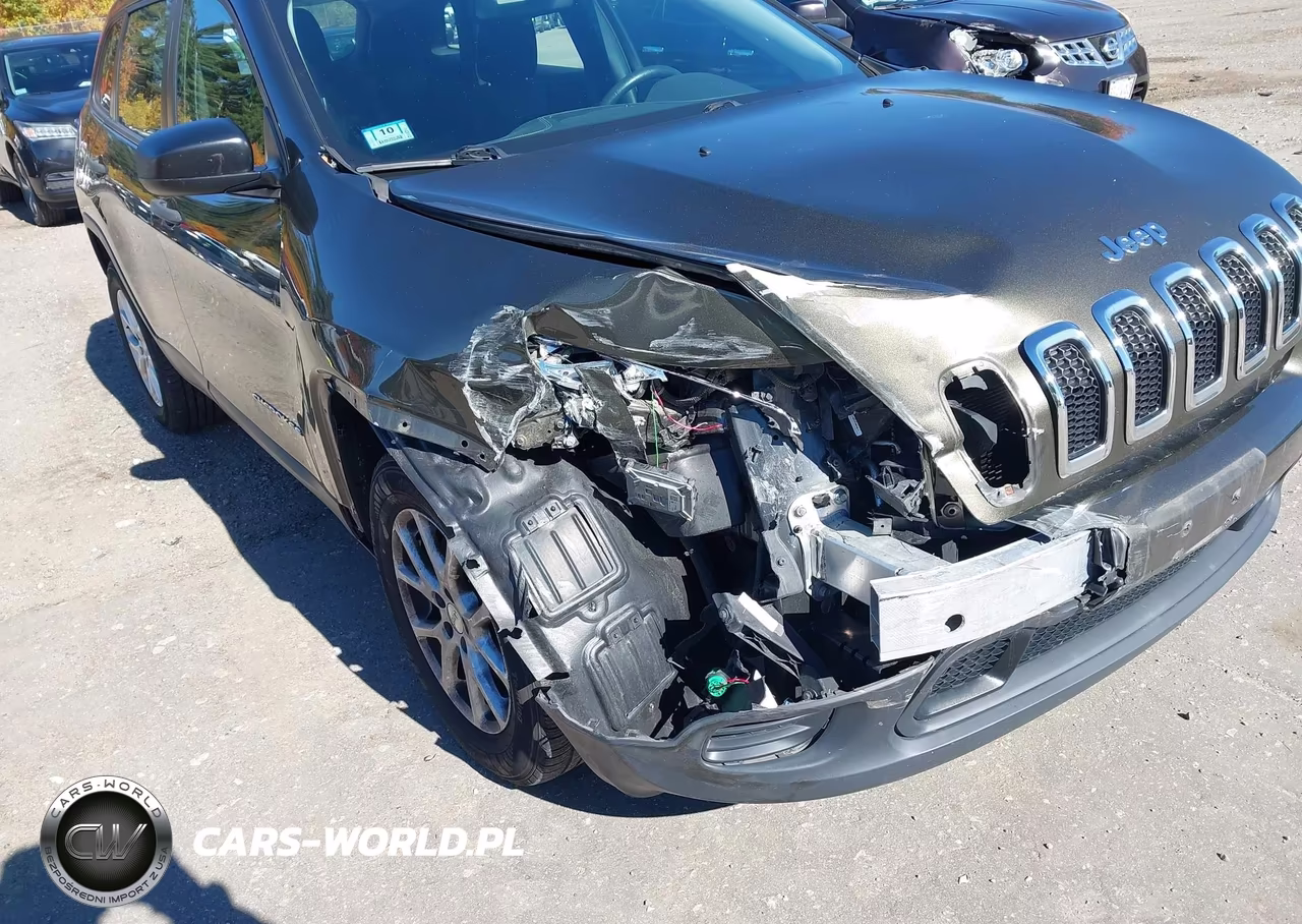 2014 Jeep Cherokee Sport VIN:1C4PJMAB8EW317743 - 6