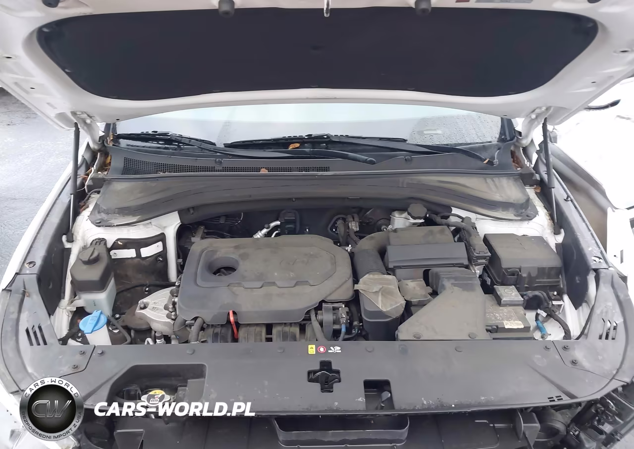 2020 Hyundai Santa Fe Sel VIN:5NMS33AD4LH147493 - 10