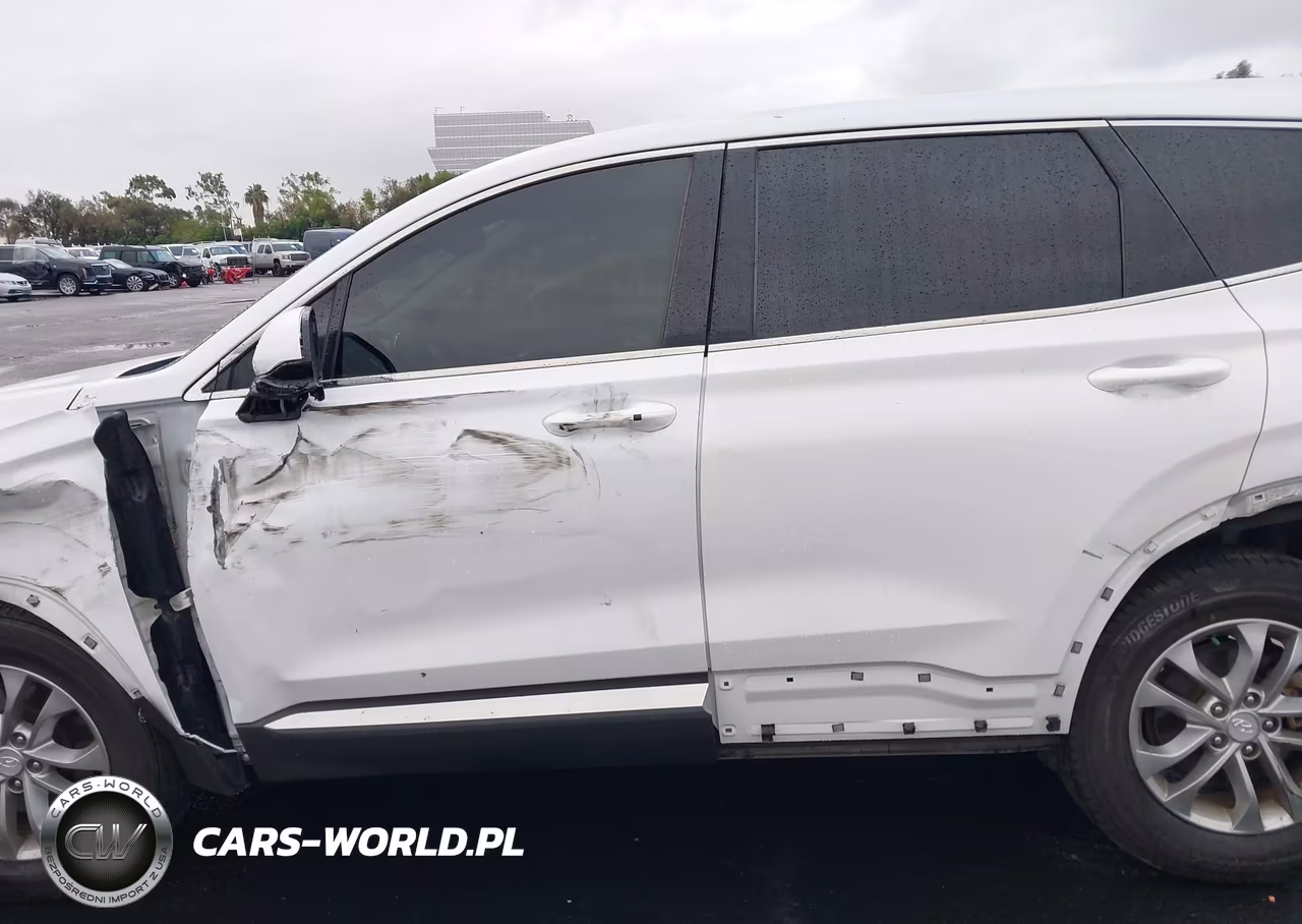 2020 Hyundai Santa Fe Sel VIN:5NMS33AD4LH147493 - 16