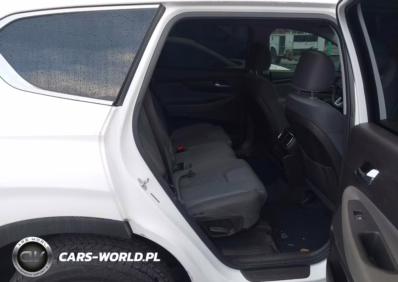 2020 Hyundai Santa Fe Sel VIN:5NMS33AD4LH147493 - 8
