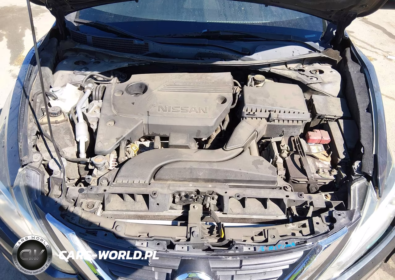2016 Nissan Altima 2.5-2.5 S-2.5 Sl-2.5 Sr-2.5 Sv VIN:1N4AL3AP6GN356982 - 10