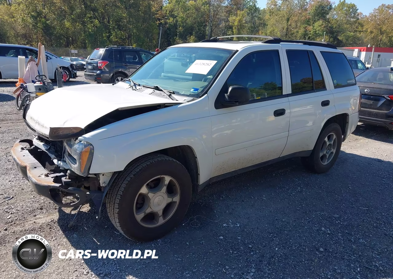 2006 Chevrolet Trailblazer Ls VIN:1GNDT13S062349952 - 2