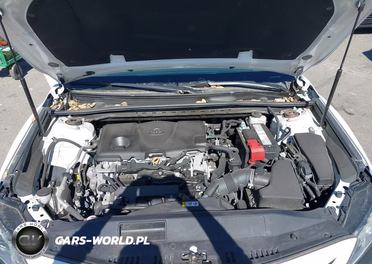 2019 Toyota Camry Se VIN:4T1B11HK3KU795246 - 10