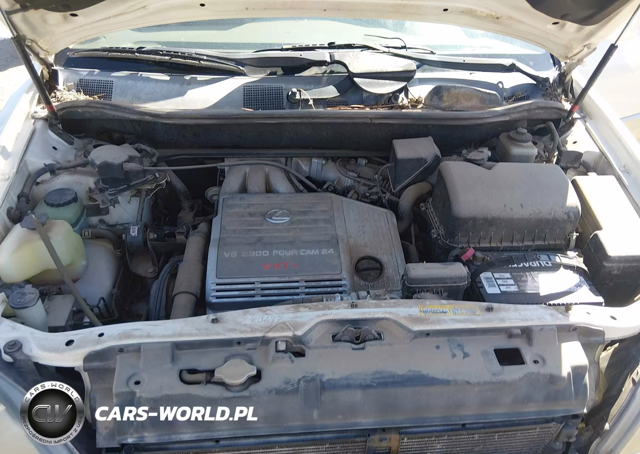 2000 Lexus Rx 300 VIN:JT6HF10U8Y0135126 - 10