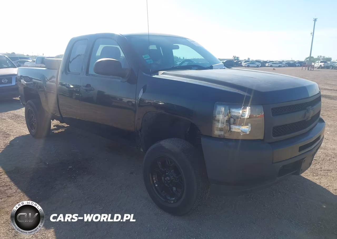 2010 Chevrolet Silverado 1500 Work Truck