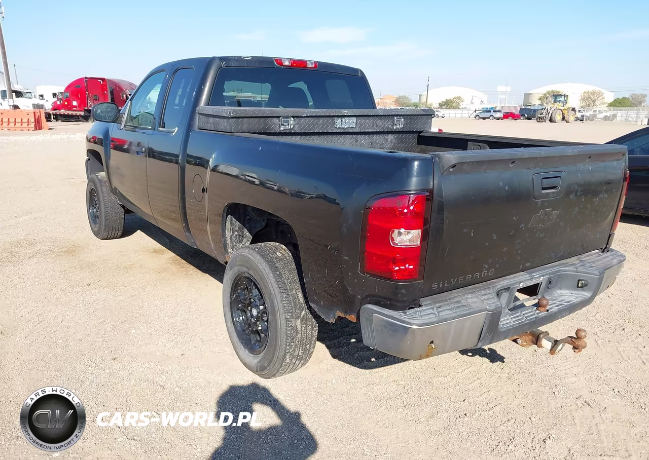2010 Chevrolet Silverado 1500 Work Truck VIN:1GCSCPEX1AZ233283 - 3