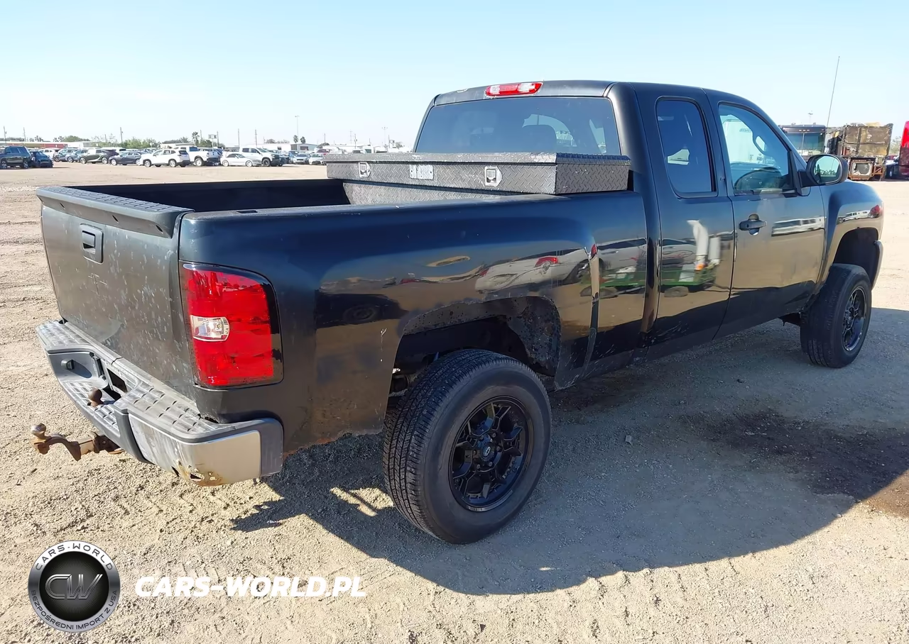 2010 Chevrolet Silverado 1500 Work Truck VIN:1GCSCPEX1AZ233283 - 4