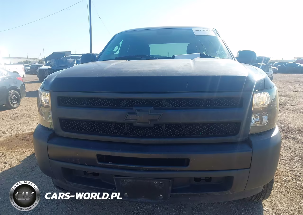 2010 Chevrolet Silverado 1500 Work Truck VIN:1GCSCPEX1AZ233283 - 6
