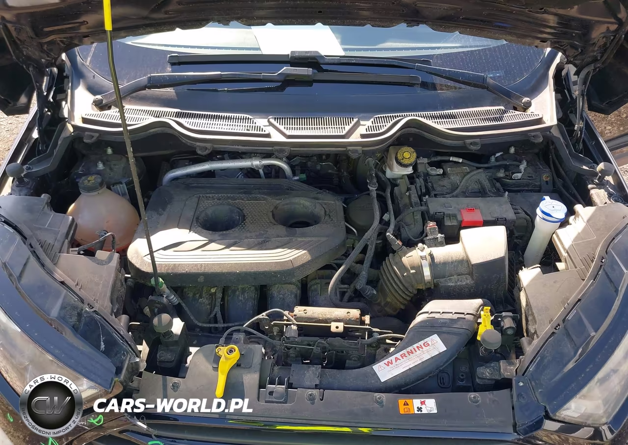 2019 Ford Ecosport Ses VIN:MAJ6S3JL6KC273367 - 10