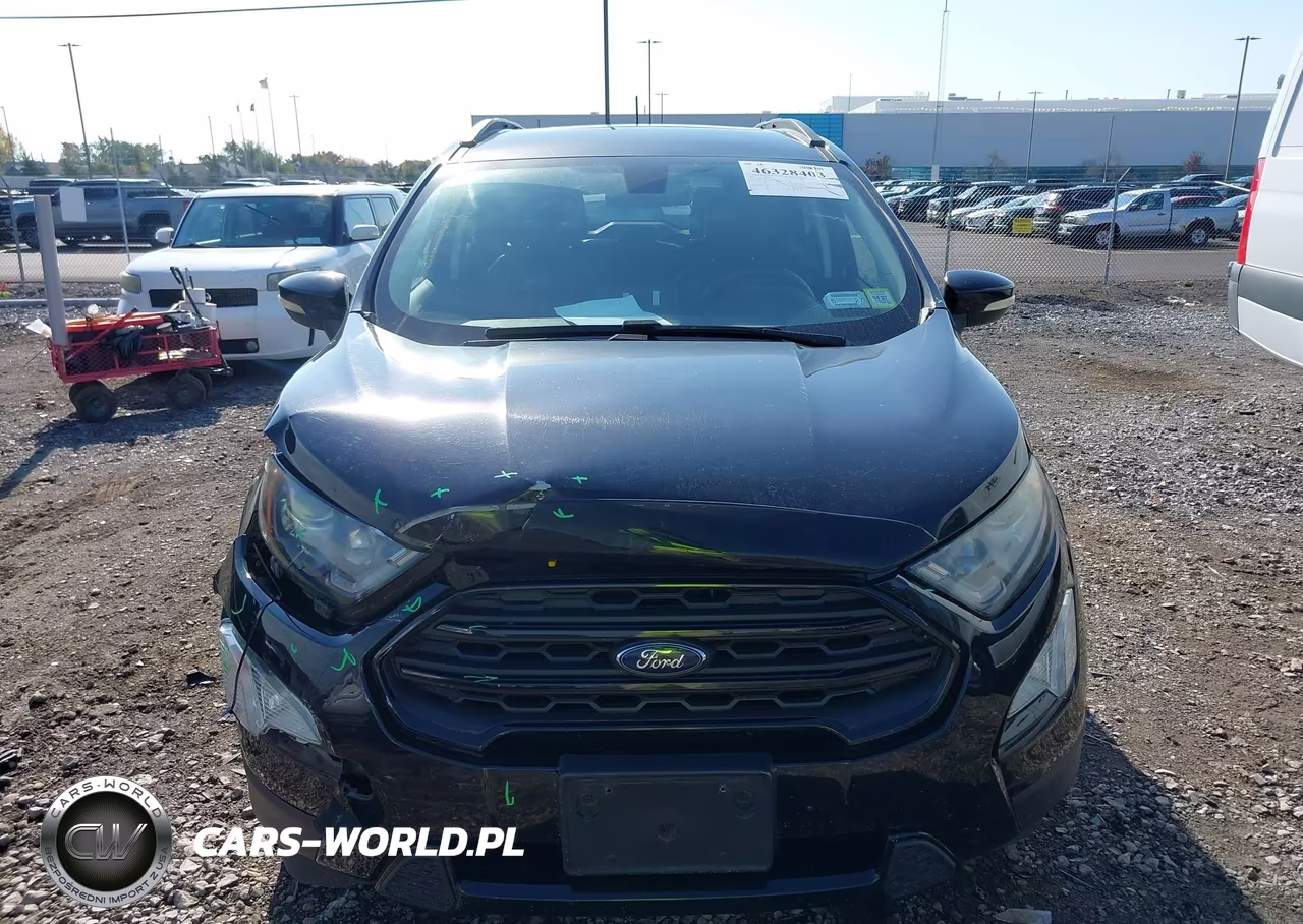 2019 Ford Ecosport Ses VIN:MAJ6S3JL6KC273367 - 12