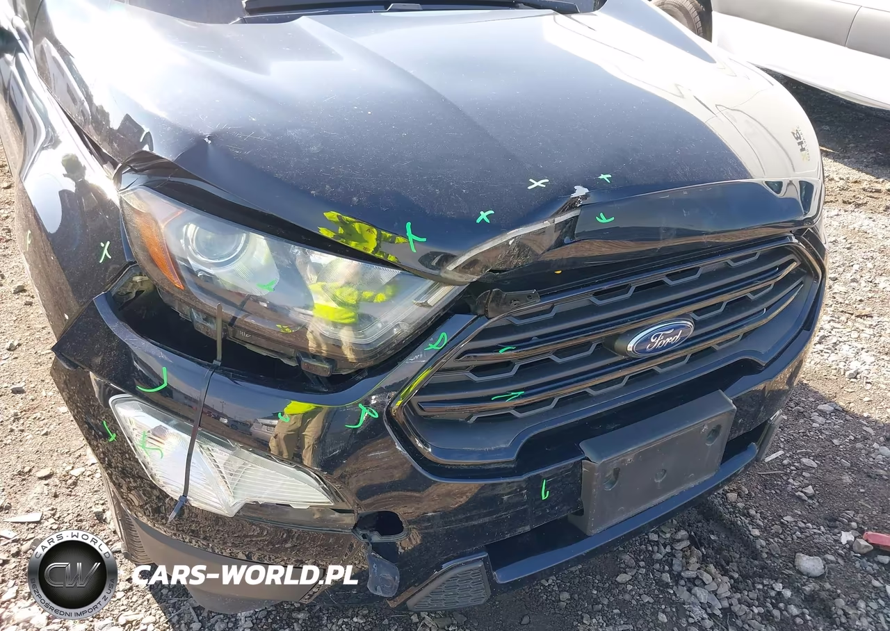 2019 Ford Ecosport Ses VIN:MAJ6S3JL6KC273367 - 17